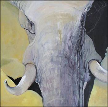 Bright Madge - Accommodation Cooktown 1