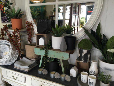 DBar Gallery - Accommodation Cooktown 2