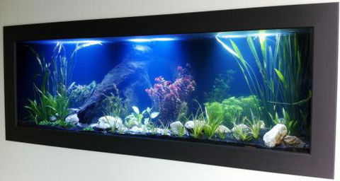 Aquariums In Cairns - Accommodation Cooktown 0