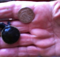 Hurleys Aquariums - Accommodation Cooktown