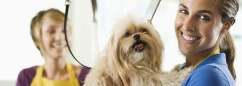 Port Stephens Pet Barn - Accommodation Cooktown 1