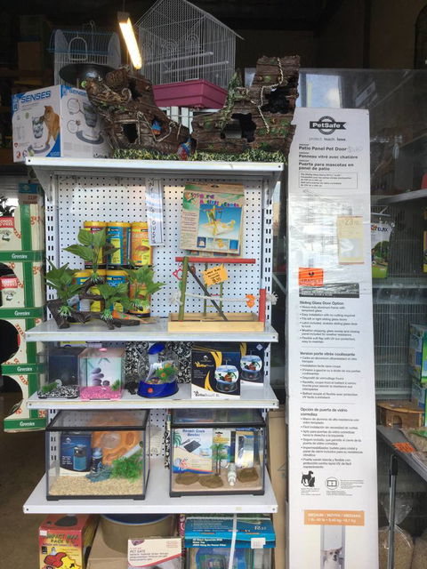 Port Stephens Pet Barn - Accommodation Cooktown 2