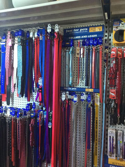 Port Stephens Pet Barn - Accommodation Cooktown 3