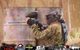 Action Paintball Games Yarramundi - thumb 2