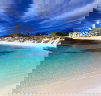 Rottnest Island Grand Tour Including Lunch and Historical Train Ride - Accommodation Cooktown