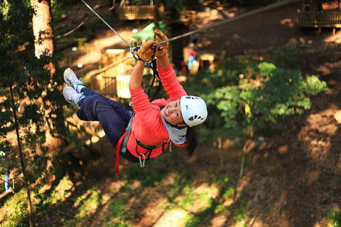 Trees Adventure Lane Poole Park - Treetop & Zipline Experience - Accommodation Cooktown 0