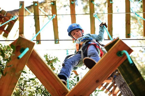 Trees Adventure Lane Poole Park - Treetop & Zipline Experience - Accommodation Cooktown 1