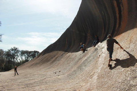 Wave Rock And Pinnacles Air & Ground Tour - Accommodation Cooktown 7