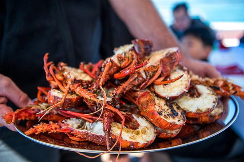 Mandurah Wild Seafood Adventure Cruise - Accommodation Cooktown 1