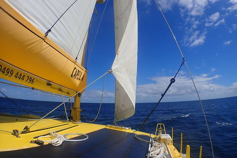 Carnac Island Half Day Sail - Accommodation Cooktown 5