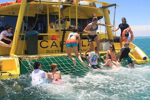 Carnac Island Half Day Sail - Accommodation Cooktown 4