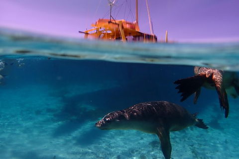 Carnac Island Half Day Sail - Accommodation Cooktown 3