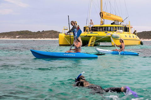 Carnac Island Half Day Sail - Accommodation Cooktown 8