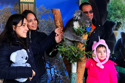 Caversham Wildlife Park, Old Guildford Town & Swan Valley Tour - Accommodation Cooktown 1