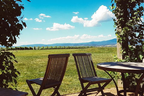 Alternative Yarra Valley Wine Tasting Tour Departing From Melbourne - Accommodation Cooktown 11