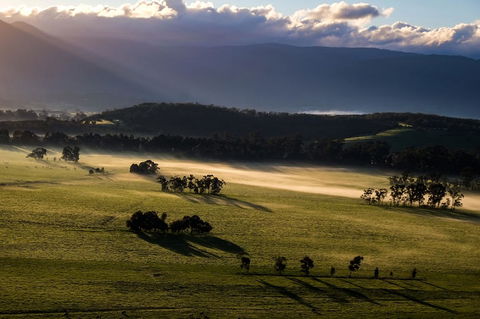 Yarra Valley Balloon Flight At Sunrise - Accommodation Cooktown 9