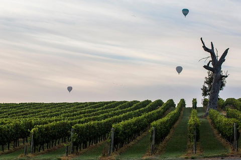 Yarra Valley Balloon Flight At Sunrise - Accommodation Cooktown 37