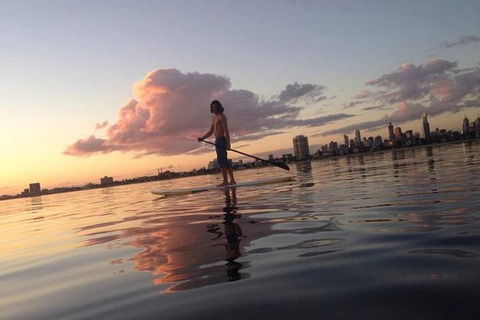 St Kilda Stand-Up Paddle Board Rental - Accommodation Cooktown 1