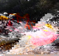 Whitewater Sports rafting on the Yarra river - Accommodation Cooktown