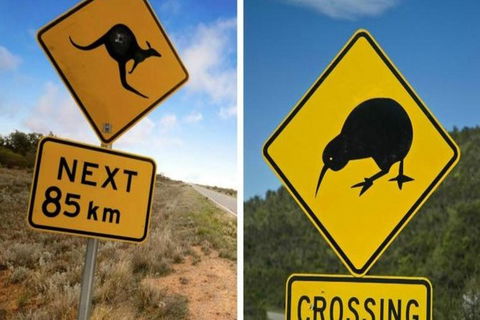 Aroha Tangata Australia And New Zealand 20 Day - Accommodation Cooktown 0