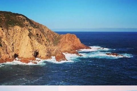 Half Day Phillip Island Woolamai Walking Tour - Accommodation Cooktown 1