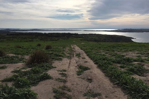 Half Day Phillip Island Woolamai Walking Tour - Accommodation Cooktown 8