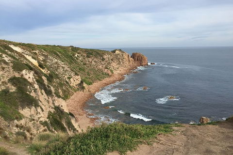 Half Day Phillip Island Woolamai Walking Tour - Accommodation Cooktown 2