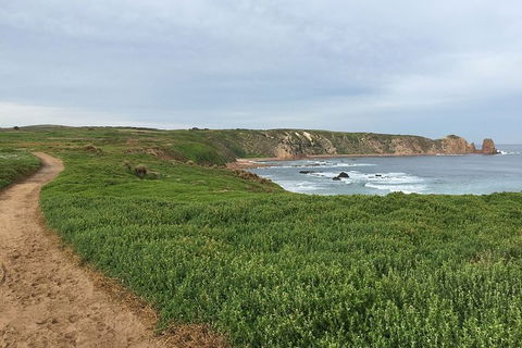 Half Day Phillip Island Woolamai Walking Tour - Accommodation Cooktown 9