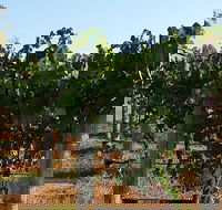 Wine Tasting Tour in The Yarra Valley - Accommodation Cooktown