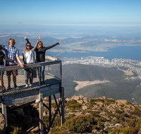 Mt Field National Park Active Day-Trip Including Bonorong and Mt Wellington