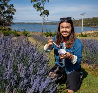 Port Arthur and Lavender Farm Active Day Tour