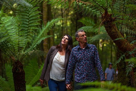 West Coast Wilderness Railway: River And Rainforest From Strahan - Accommodation Cooktown 3