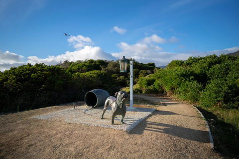 Cruise Ship Special From Port Arthur: Explore Tasman Peninsula With Free WiFi - Accommodation Cooktown 9