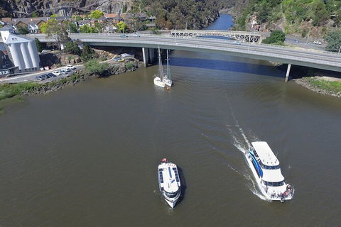 Batman Bridge 4 Hour Luncheon Cruise Including Sailing Into The Cataract Gorge - Accommodation Cooktown 4