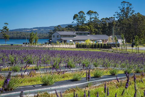 Private Tasman Peninsula Cruise Ship Tour From Port Arthur - Accommodation Cooktown 0