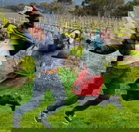 Mclaren Vale Luxury Full Day Small Group Wine Tour - Accommodation Cooktown