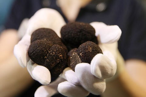 Adelaide Central Market Exclusive Tour - Accommodation Cooktown 9