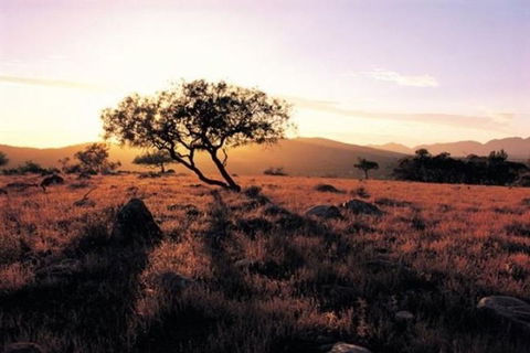 Adelaide To Coober Pedy 7 DAY SMALL GROUP 4WD SAFARI - Accommodation Cooktown 0