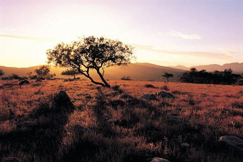 Adelaide To Coober Pedy 7 DAY SMALL GROUP 4WD SAFARI - Accommodation Cooktown 4