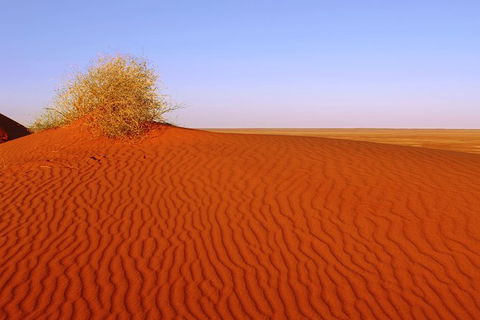 Adelaide To Coober Pedy 7 DAY SMALL GROUP 4WD SAFARI - Accommodation Cooktown 3