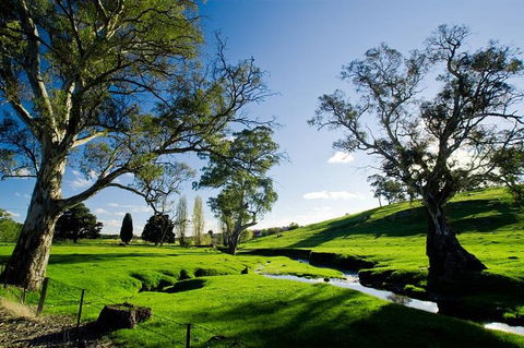 Adelaide Highlights And Hahndorf Tour With Optional River Cruise - Accommodation Cooktown 0