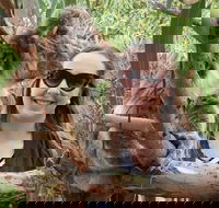 One Day Port Lincoln Tour - Tasting Eyre - Accommodation Cooktown