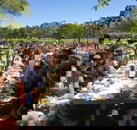 McLaren Vale Wine Tour - Accommodation Cooktown