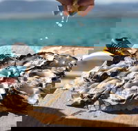 Experience Coffin Bay Short and Sweet Oyster Farm Tour - Accommodation Cooktown