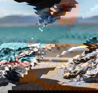 Experience Coffin Bay Oyster Farm and Bay Tour - Accommodation Cooktown