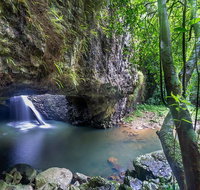Springbrook andTamborine Rainforest Tour Incl Natural Bridge and Glow Worm Cave