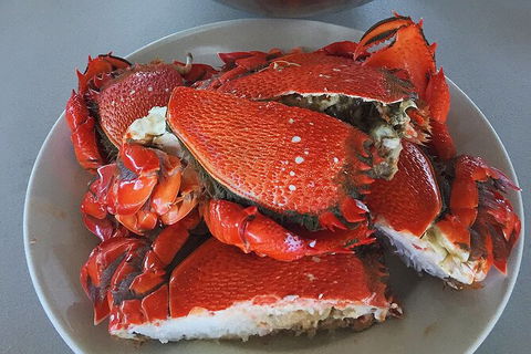 Crab Trip From Gold Coast - Accommodation Cooktown 28