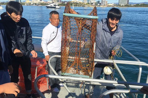 Crab Trip From Gold Coast - Accommodation Cooktown 35