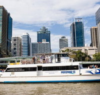 Lone Pine Koala Sanctuary Admission with Brisbane River Cruise
