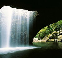 World Heritage Springbrook National Park Tour Including Natural Bridge